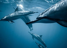 华体会官方-从《棋士》到《胜负》，围棋不再是道具